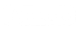 The Ai Studio